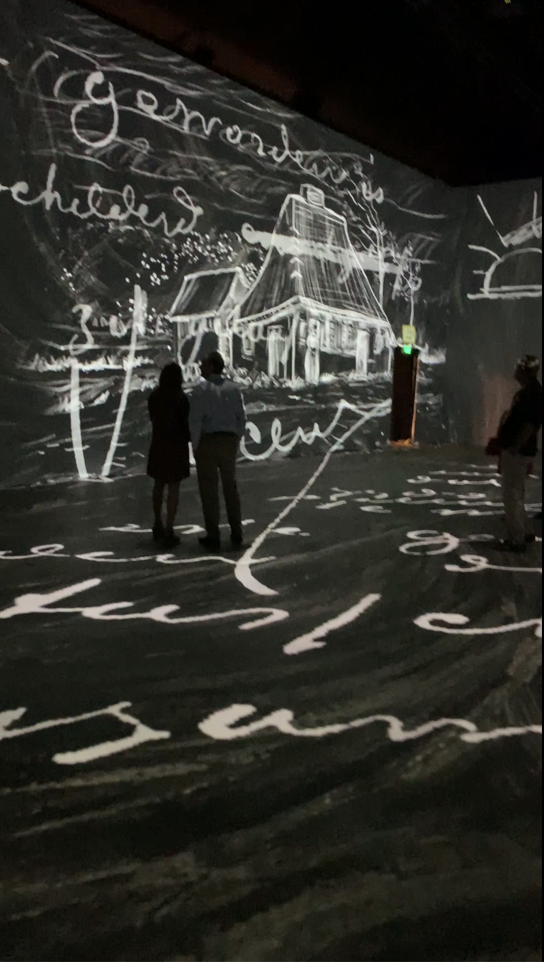 Beyond Van Gogh Immersive Art Experience and Installation
